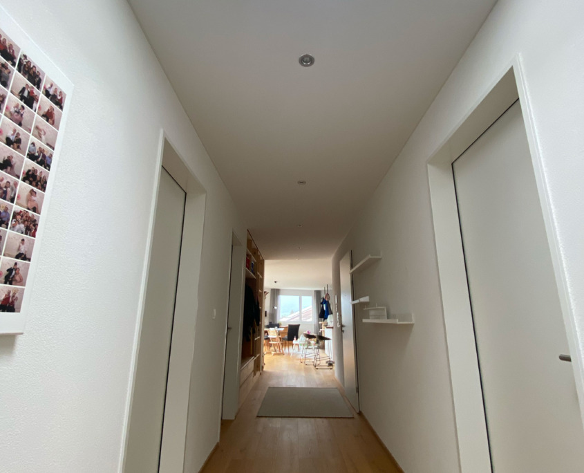 Decke Schweiz_4283_2000px 2