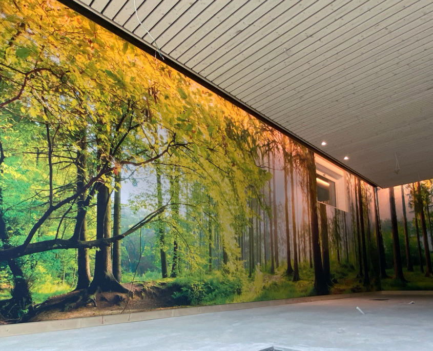 Oberhaensli_3540_2000px 14